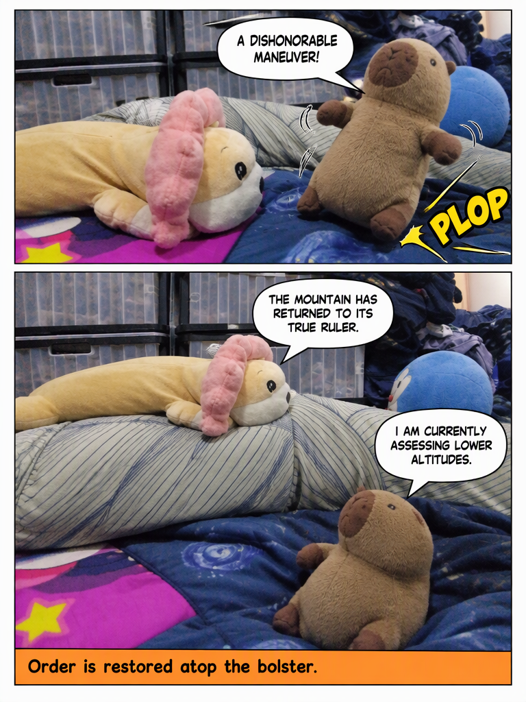 Reclaiming the Bolster Summit (page 4 of 4)