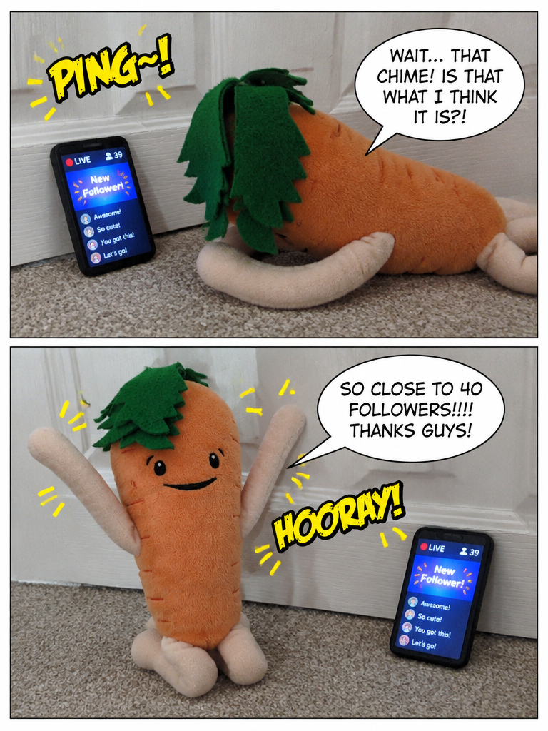 Almost Forty Followers!!! (page 3 of 4)