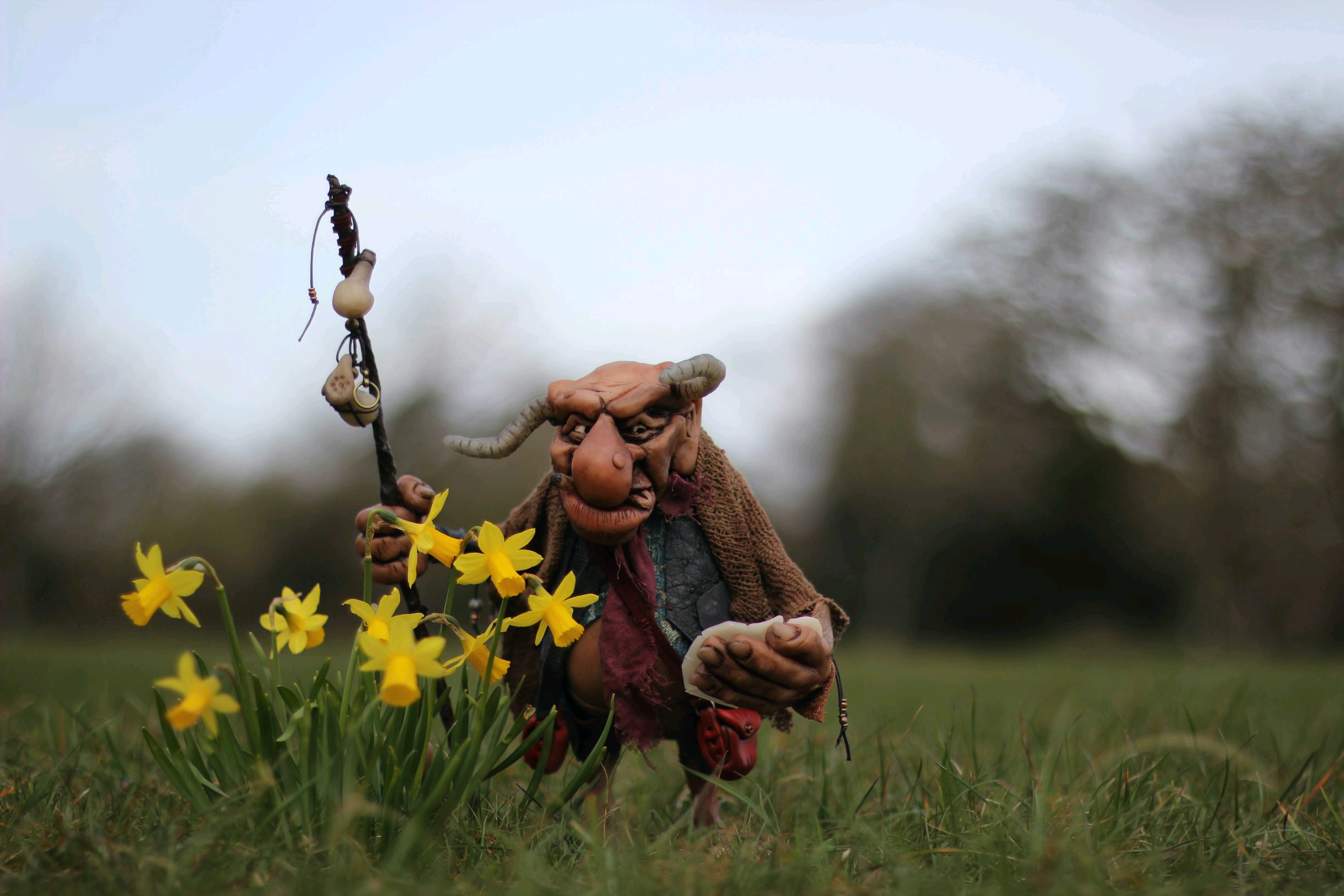 troll explorer | NaukNauk