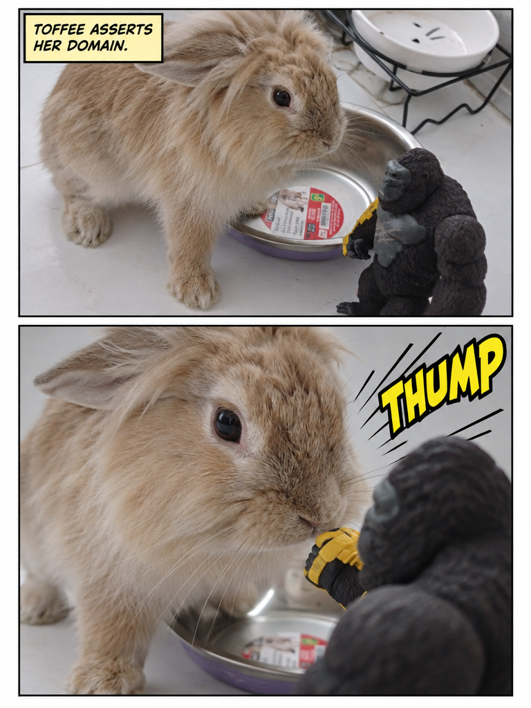 Kong Vs Toffee The Rabbit (page 2 of 4)