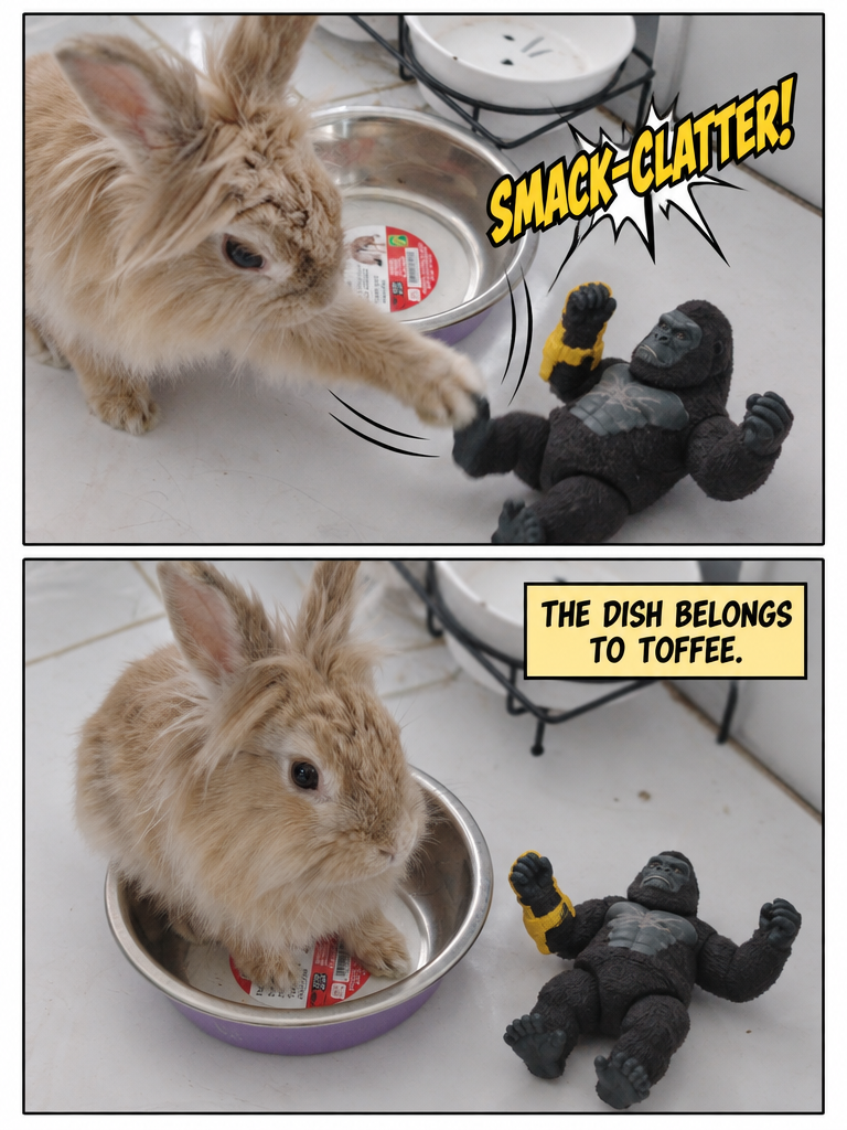 Kong Vs Toffee The Rabbit (page 4 of 4)