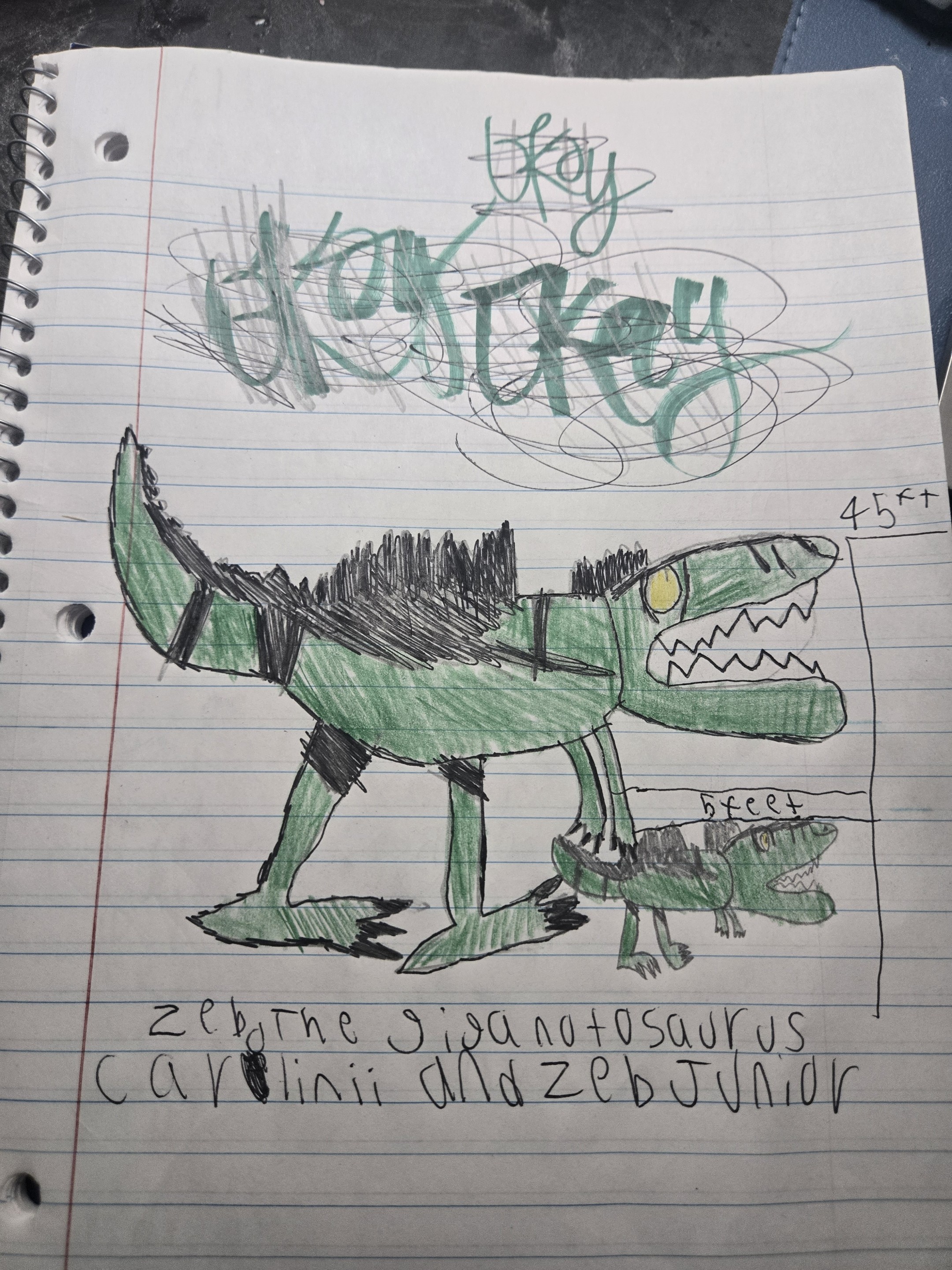 Drawings of Zeb (page 4 of 5)