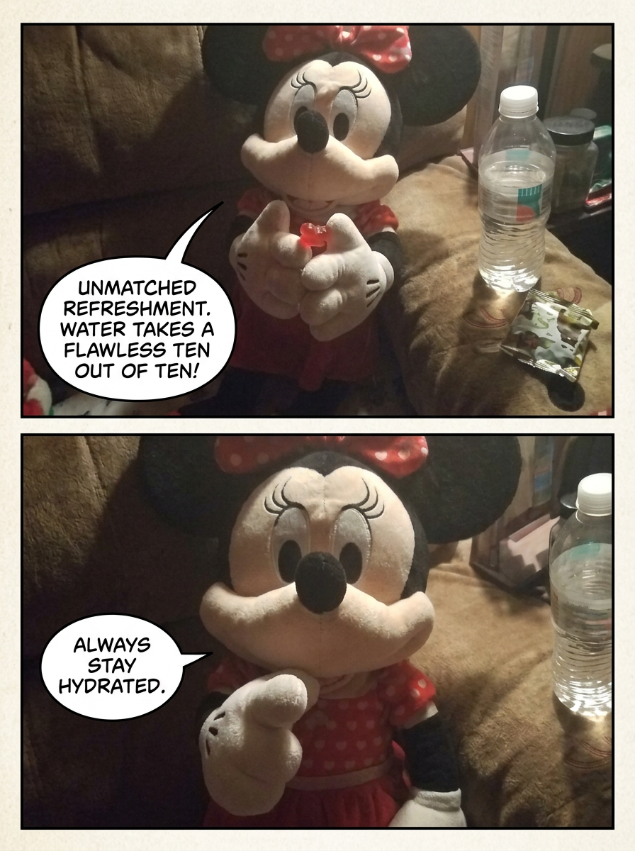 The Snack Reviewer (page 4 of 4)
