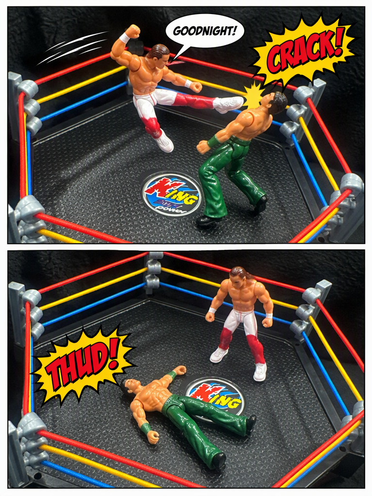 shawn michaels beats Matt hardy to retain his spot (page 3 of 8)