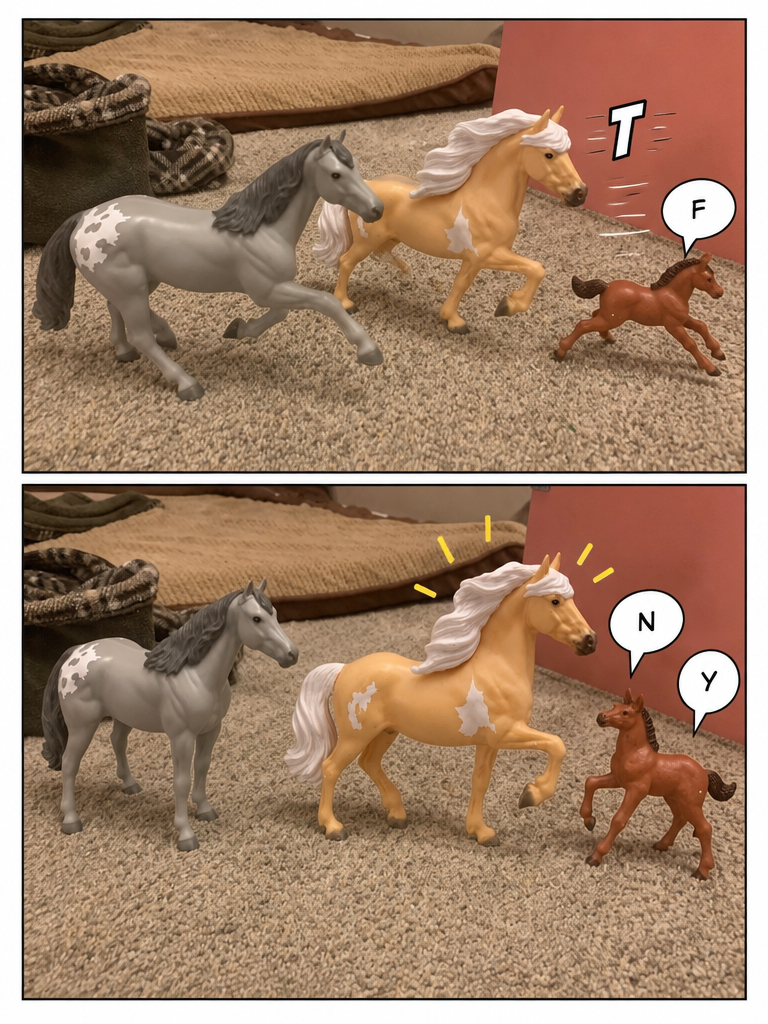 The Carpet Sprint (page 4 of 4)