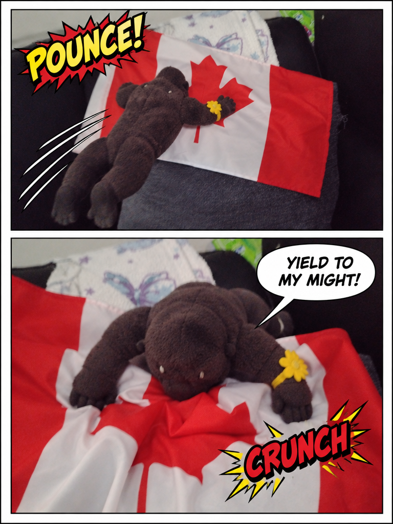 Kong Vs The Canada Flag (page 2 of 4)