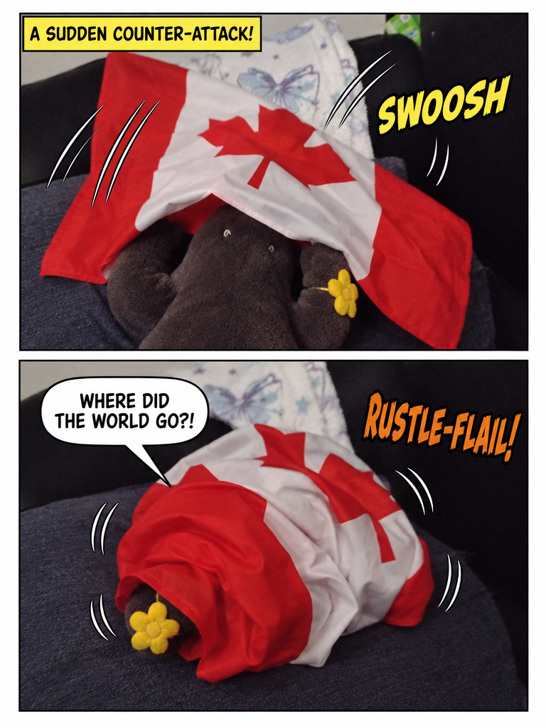 Kong Vs The Canada Flag (page 3 of 4)