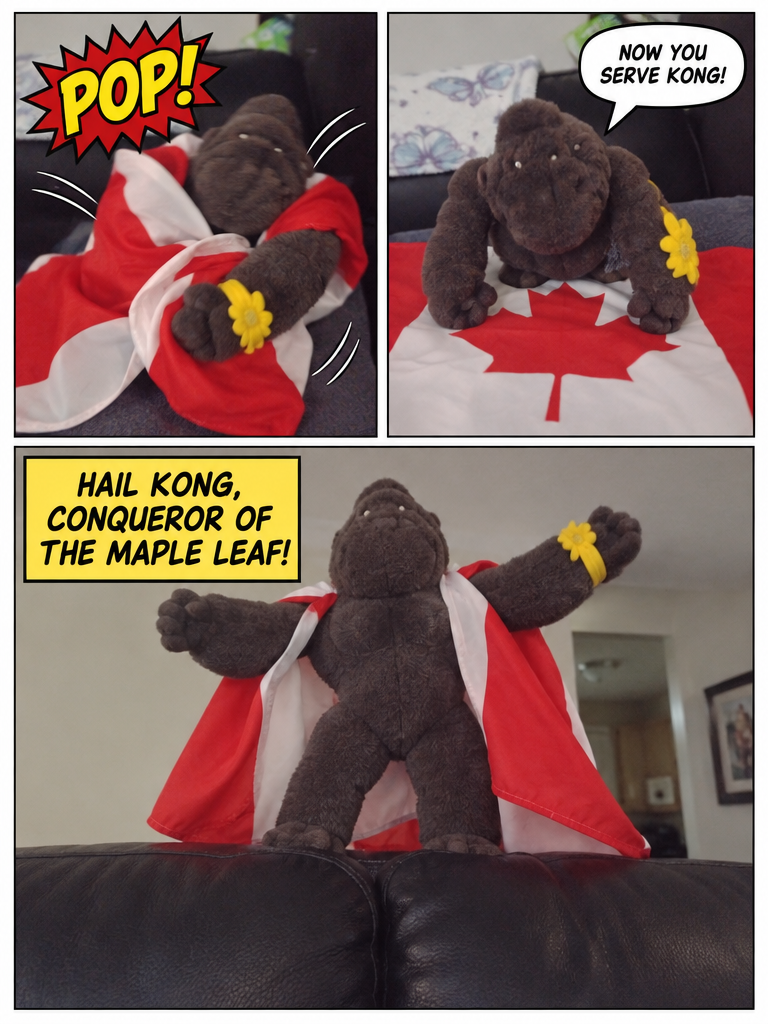 Kong Vs The Canada Flag (page 4 of 4)