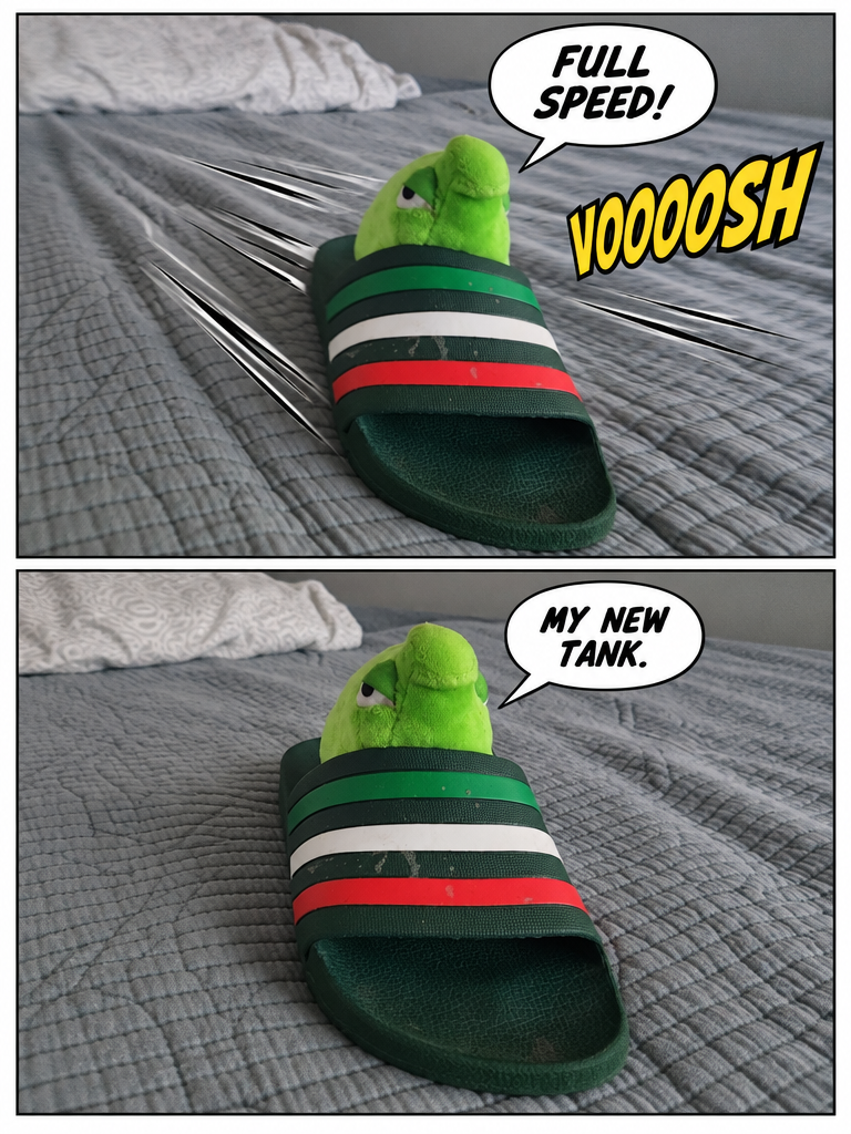 The Slipper Shell (page 4 of 4)