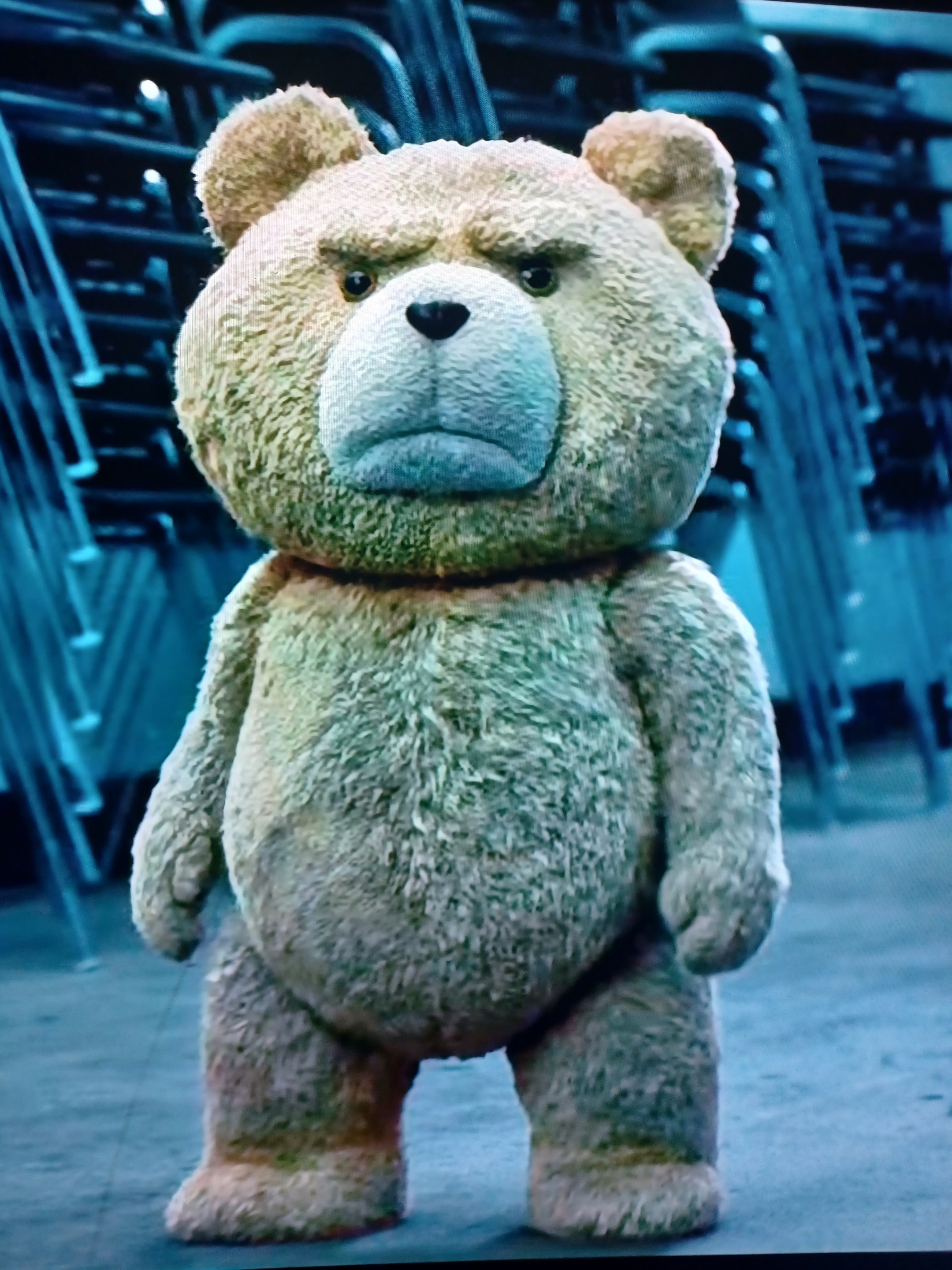 Ted (page 3 of 3)
