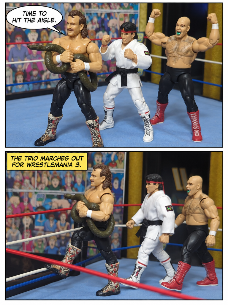 Ringside Ready (page 4 of 4)