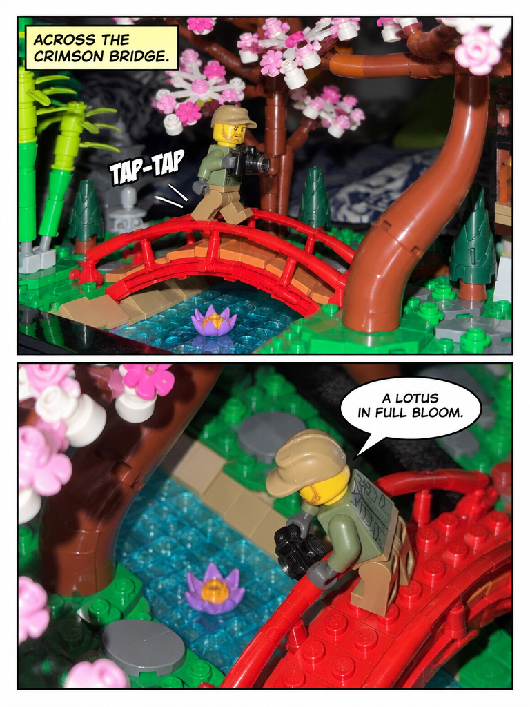 Through the Garden Pavilion (page 2 of 4)
