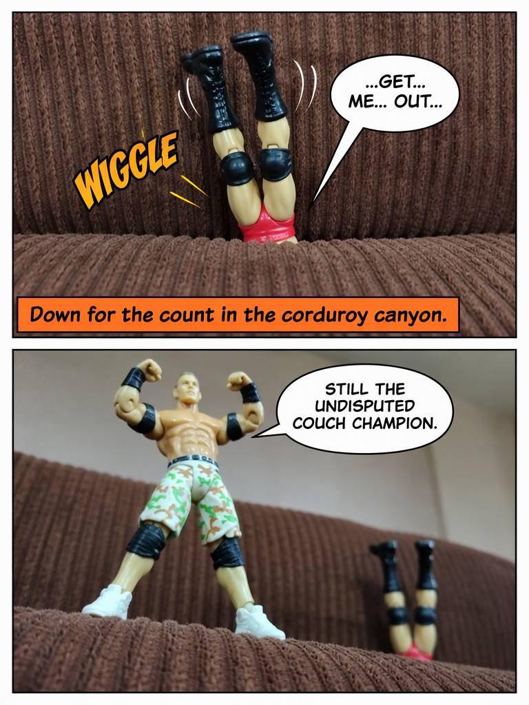 Cushion Championship (page 4 of 4)